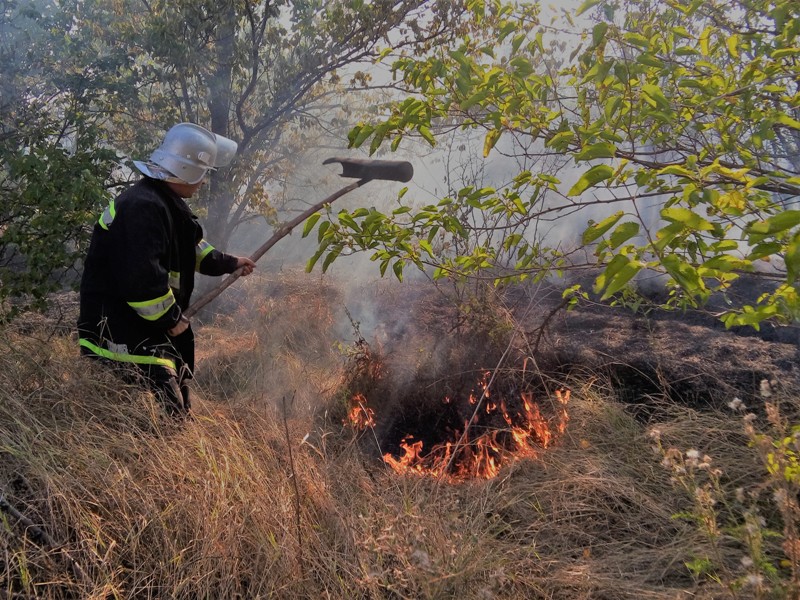 За добу пожежно-рятувальні підрозділи 48 разів виїжджали на гасіння пожежі і загорянь в екосистемах. В 11-ти випадках горів ліс